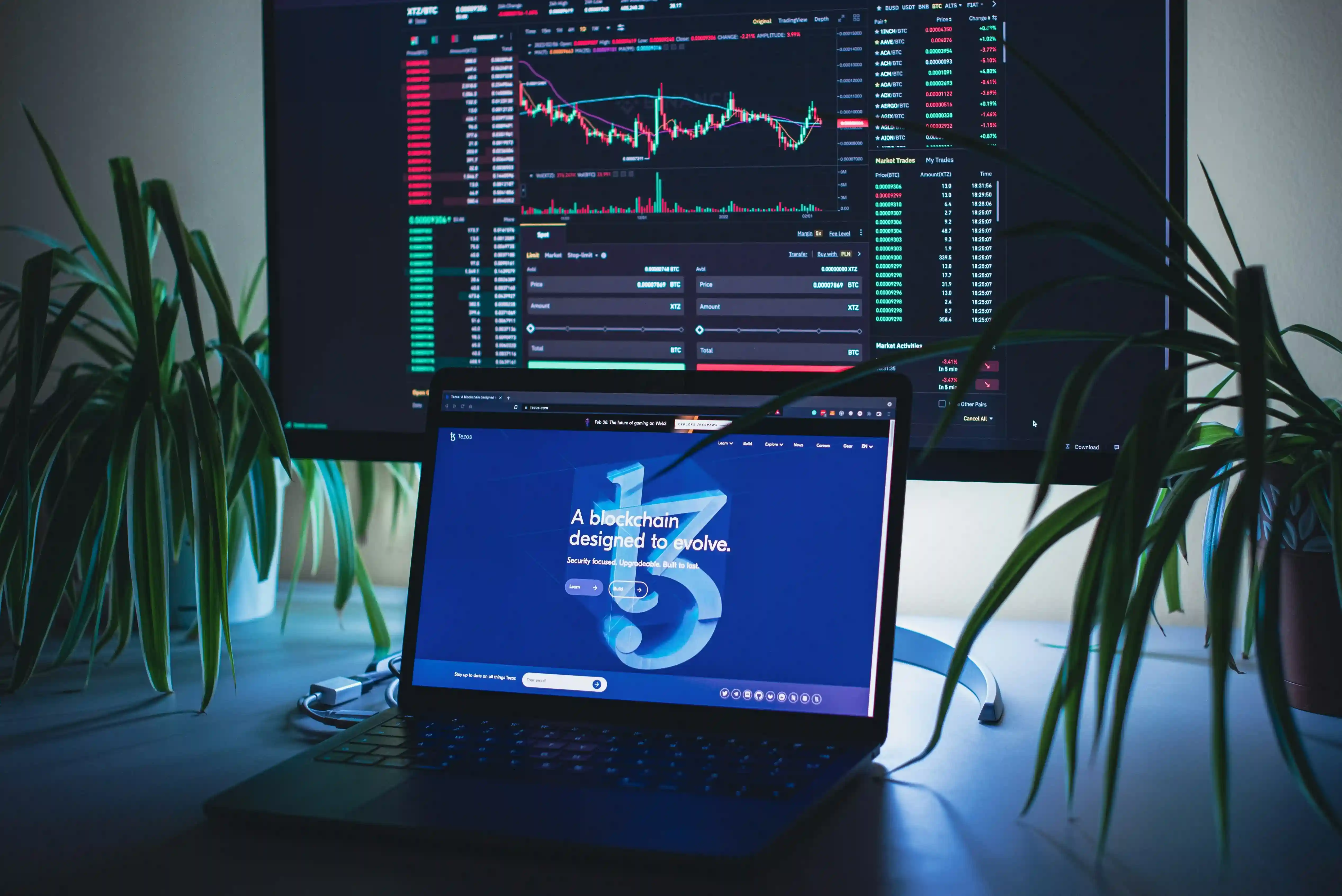 SaaS PaaS IaaS